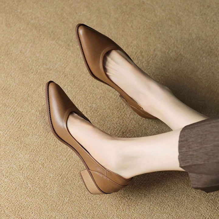Women's Pointed-Toe Block Heel Dressy Slip-On Pumps - Brown